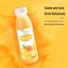 Jiangguole Sea Buckthorn Juice