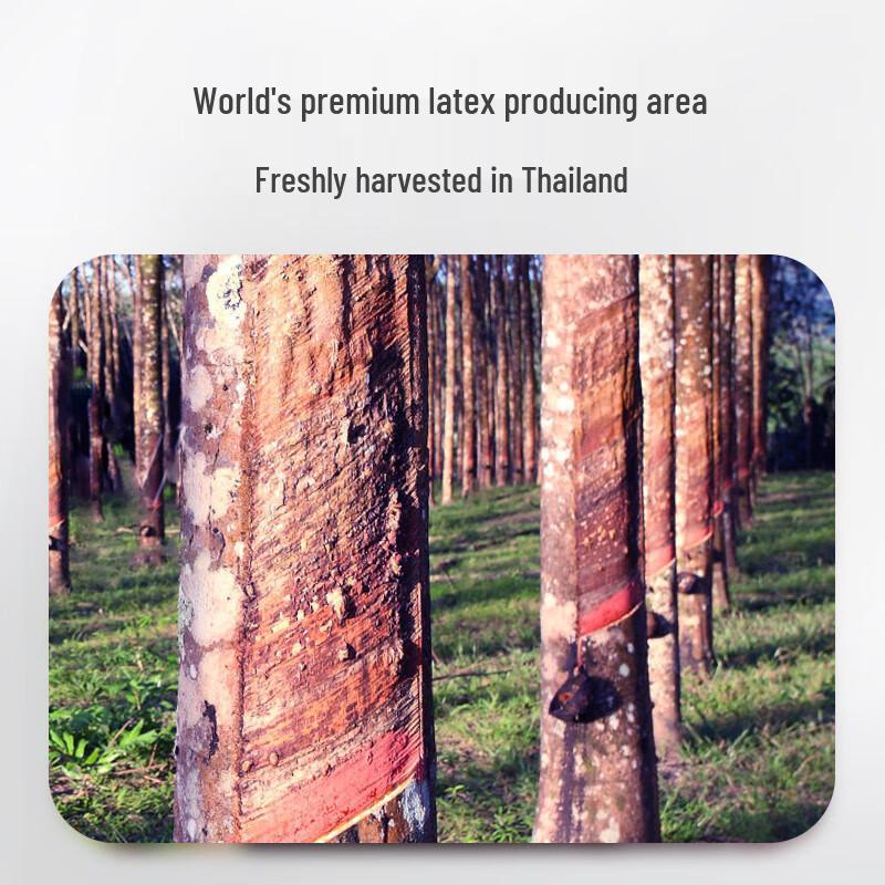 Jiaao Thai Natural Latex Pillow