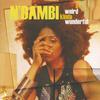 CD N'DAMBI - A Weird Kinda Wonderful VIA0033 Village Again 2005 Japan ObiSoul/Funk Used