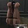 Autumn and Winter New Imitation Fox Fur Vest Women's Fashion Casual Vest Fur Vest