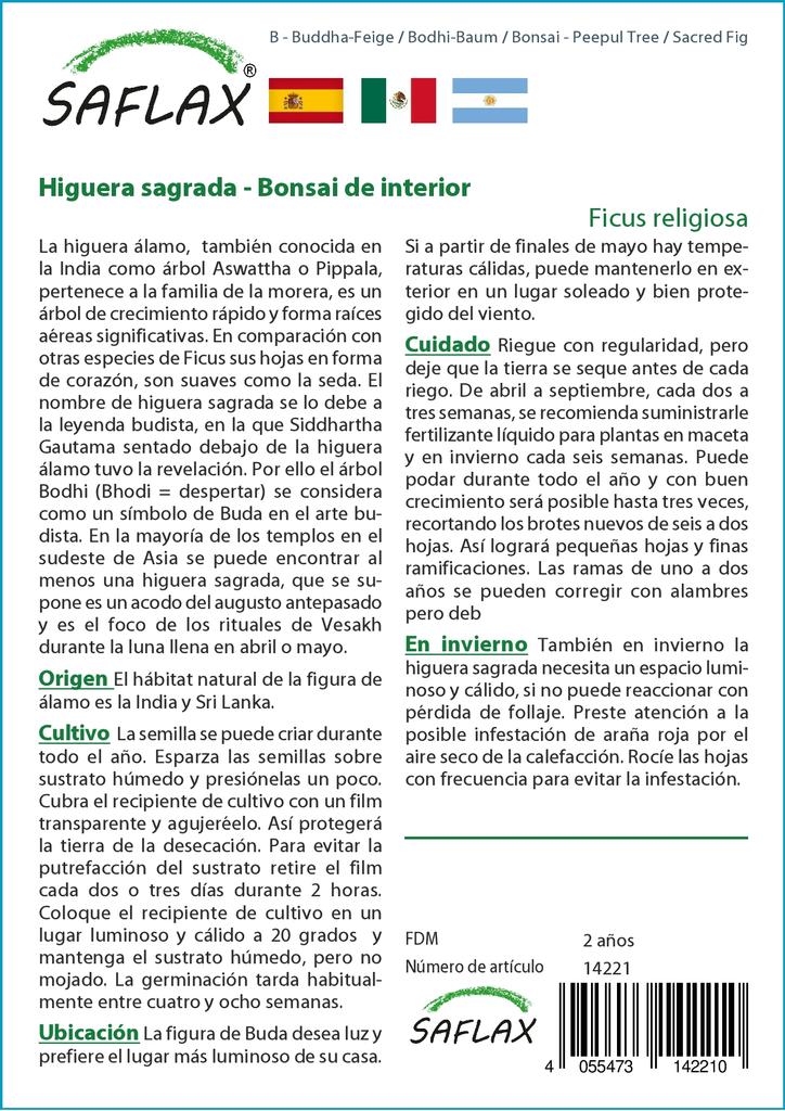 SAFLAX Garden in the Bag - Бонсай - Дерево Пипул / Священный инжир - 100 семян - С субстратом в подходящем пакете - Ficus religiosa