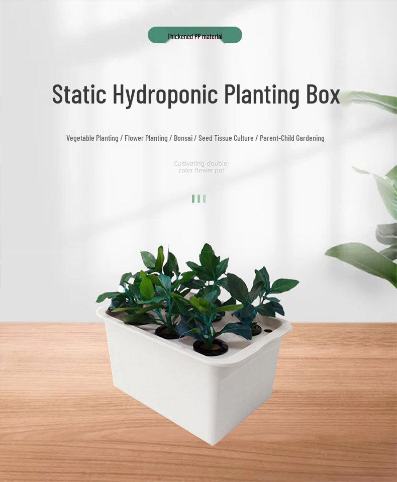 Automated Hydroponic Vegetable Planter for Home Gardens and Balconies