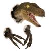Life-like Mounted Bursting Hanging Decor Wall Art Dinosaur Sculpture Claws