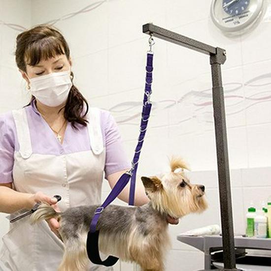 Подвесной ремень для груминга собак для купания и груминг-стола