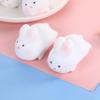 Sensory Toy Rabbit Squeeze Toy Fidget  Cute   Kids Gift