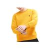 Polo Ralph Lauren Embroidered Pony Logo Fleece Crewneck Sweatshirt Men Sweatshirt Gold 710859145-008