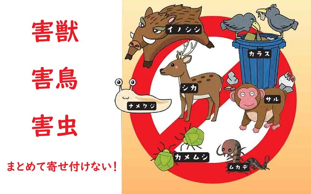 Морская звезда Римский отпугиватель вредителей 2 специальные сетки для легкого (500г) [Включает порционирование]