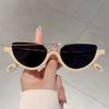 Popular Cat Eye Sunglasses Fashion Retro Korean Style Leopard Shades Women Trendy Brand Designer Stylish Sun Glasses