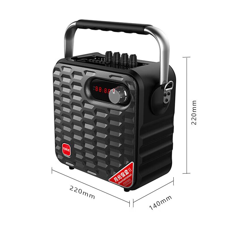 Malata M+9019 Portable Bluetooth Karaoke Speaker