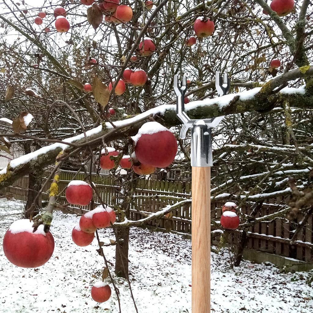 Pack of 20 Metal Y Shaped Plant Branch Support Brackets for Fruit Trees Delicate Plants Rustproof Garden Stake Holder