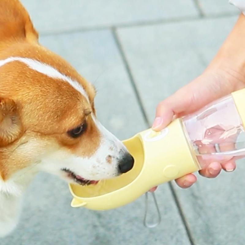 Dog Water Bottle Puppy Portable Cup For Small Medium Dogs Cats Outdoor Drinking Leak Proof Chihuahua Yorkshire Pet Supplies
