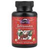 Dragon Herbs Schisandra Chinensis, 1,500 Mg, 100 Capsules (500 Mg Per Capsule)