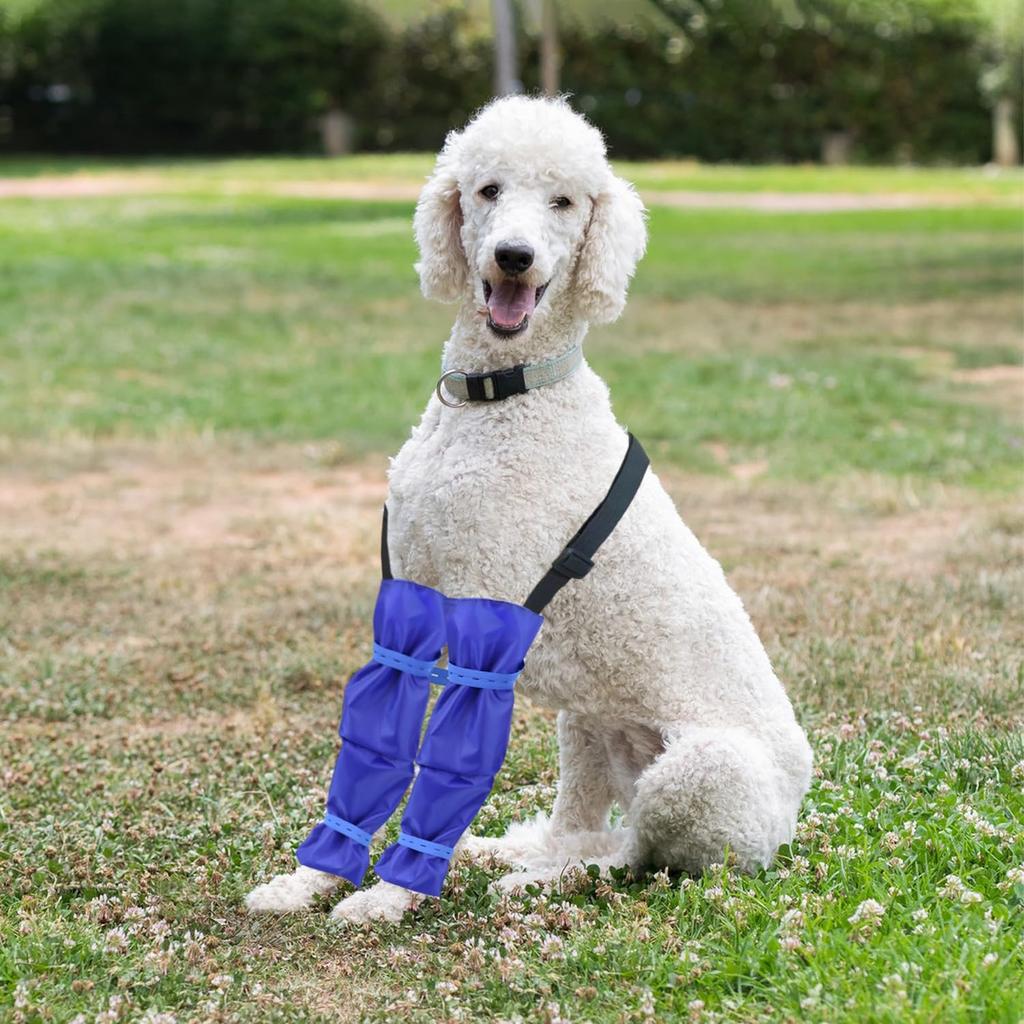Waterproof Dog Leggings with Adjustable Strap Dogs Leg Covering Protector Dog Waterproof Pee Pants for Poodles Long Haired Dogs on Rainy Days Long