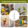 Stainless Steel Parrot Forager Feeder Durable Outdoor Bird Feeding Device Spiral Design Natural Fruit Basket for Small Pets