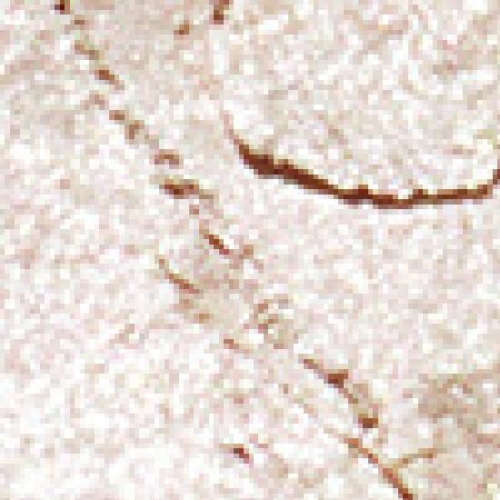 Naming Fluffy Baked Highlighter 5 Colors (+ Brush Free)