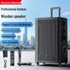 Newmine N539 15-дюймовый портативный Bluetooth-динамик KTV, штекер CN (адаптер в комплекте)