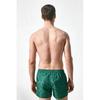 H M Плавки-шорты с рисунком Зеленые с рисунком