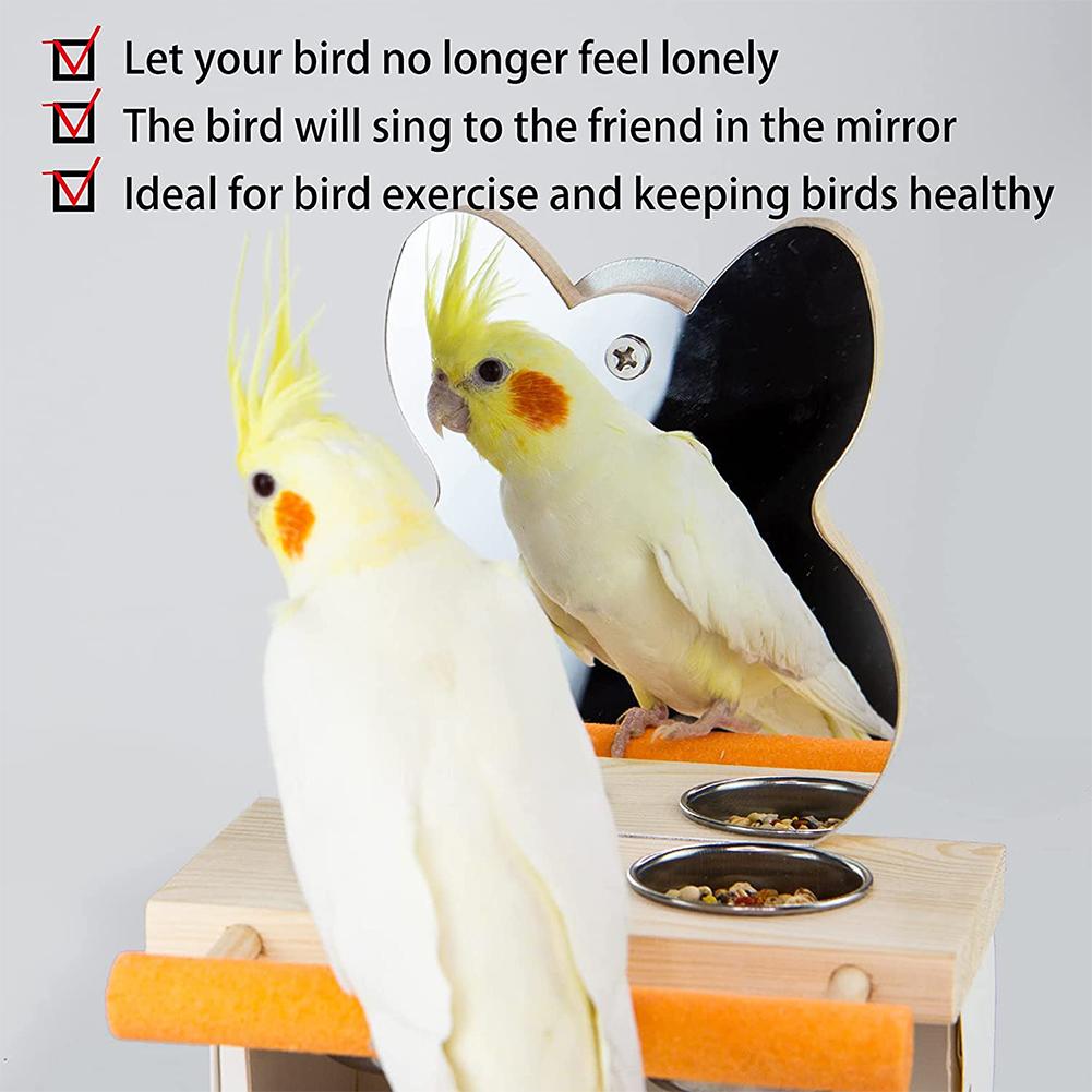 Kolip Parrots Mirror With Feeder Cups Bowl Wooden Birds Interactive Self-happy Toy Puzzle Toy