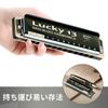 East Top Harmonica Blues Harmonica 13 Hole G Key Jazz Professional Adults Children Study Practice Brass Cover Canvas Case Lucky13 (Richter-G)