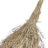 Wooden Handle Outdoor Broom