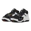 Jordan Zion 2 Noah Белый Черный Мультиколор GS DV1003-003