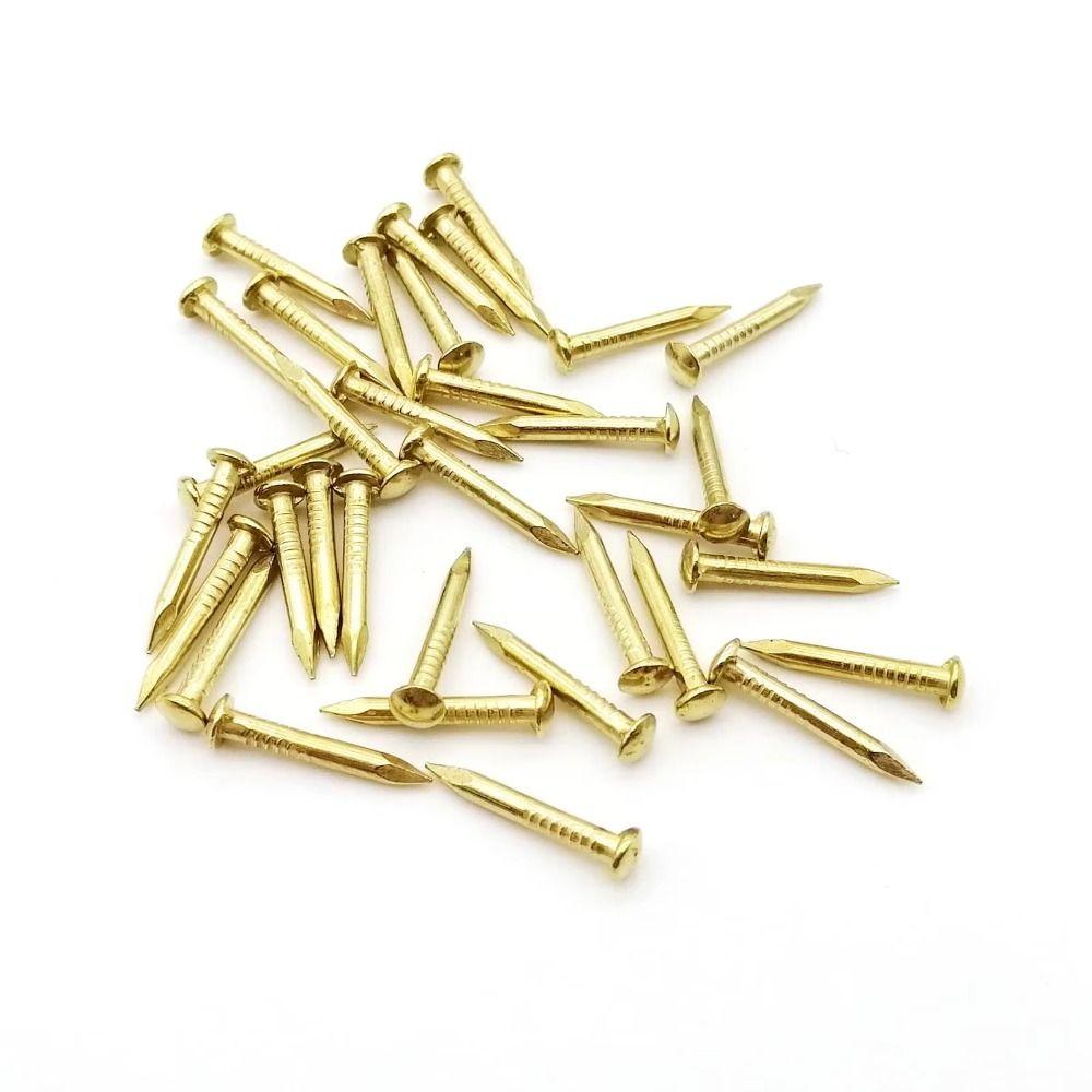 100 pcs Round Head Brass Nails Pure Brass Decorative Pins Small Brass Nails Models Crafts