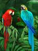 5D Diamond Painting Parrot Diamond Embroidery Full Round Drill Kits Animal Mosaic Diy Home Decor Art