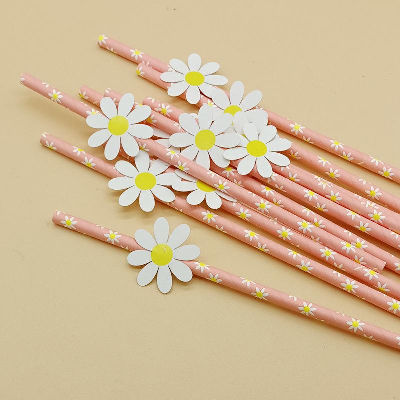 Creative Pink Daisy Party Straws with Decorative Card