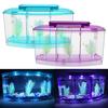 Mini Fish Tank Aquarium Fish Aquarium Tank LED Light Divider Filter Water