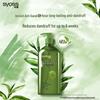 Syoss Clarifying Green Tea Anti-Dandruff & Oil Control Shampoo