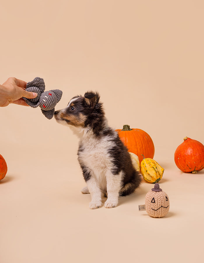 Baby Bat Crocheted Dog Toy Baby Bat Crocheted Dog Toy