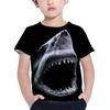 Футболка с изображением акулы, детская одежда, летняя футболка с изображением животных, синяя футболка с морским принтом для мальчиков, детский топ, 2023, футболки с короткими рукавами и 3d принтом для девочек