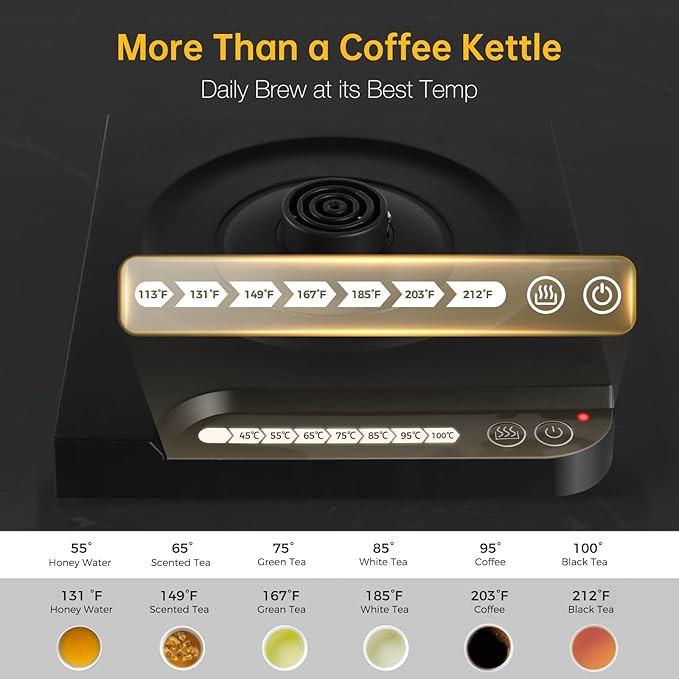 1 л Электрический чайник для здоровья 304 Нержавеющая сталь Электрический чайник Кофейник с индикатором температуры Сенсорная панель