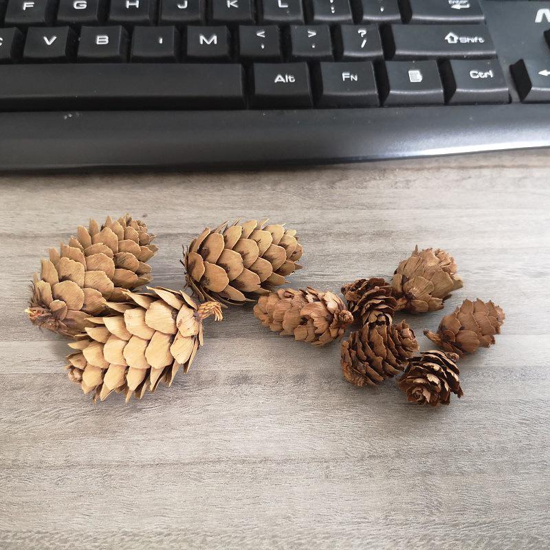 1-18CM Pine Cone Christmas Decorations: Creative Figurines & Photography Props