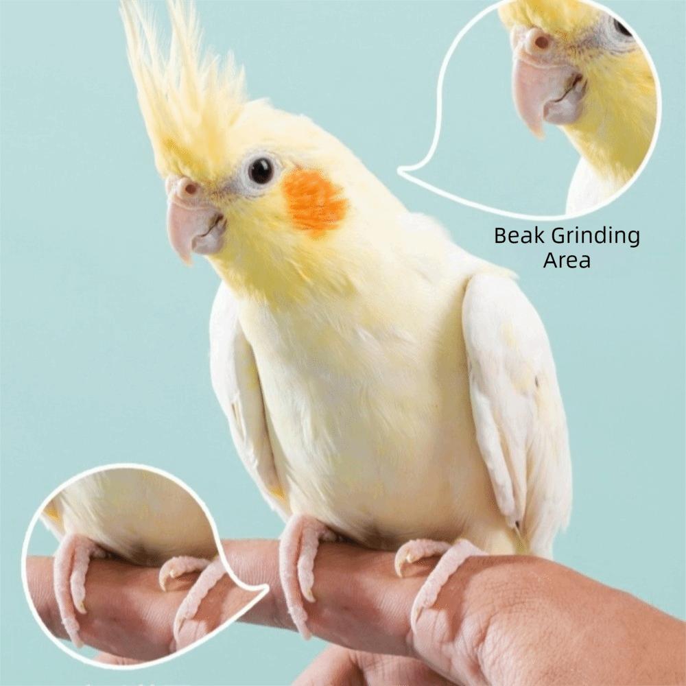 Portable Electric Parrot Nail Trimmer with 4 Polishing Heads Bird Nail Cutter Pet Grooming