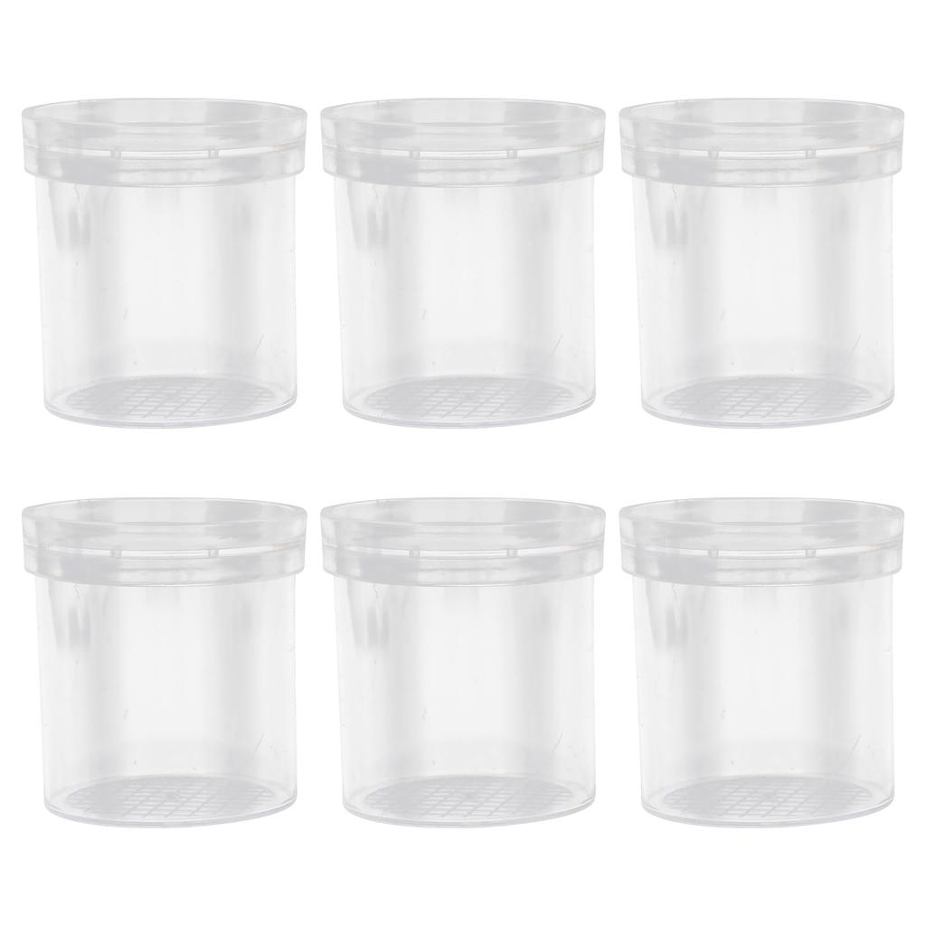 LEDMOMO Small Insect Cage 6 Pieces Magnifier Bug Viewer Insect Case with Magnifier Box Microscope Magnifier Magnifying Glass Nature Exploration