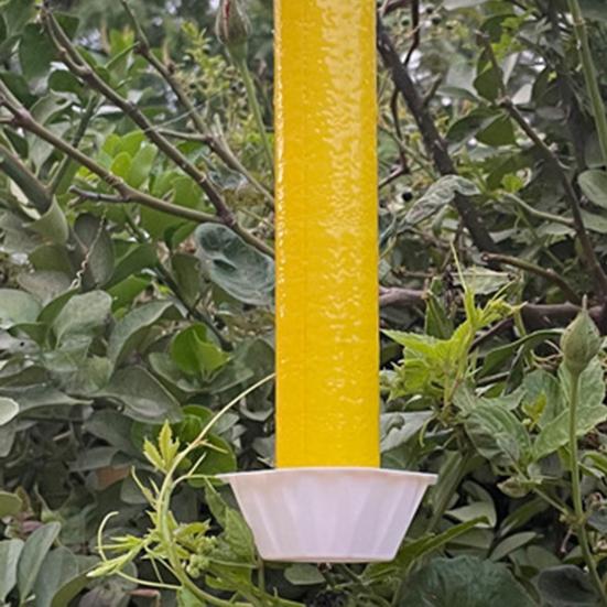 Fly Stick Trap for Mosquitoes Gnats Wasps Long-lasting Protection Indoor Outdoor Use Adhesive Fly Catcher Eco-Friendly Fruit Fly Trap