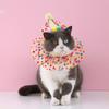 Pet Birthday Hat Scarf Set Puppy Princess Costume Cute Lace Costume Dog Colourful Polka Dot Bandana Hat Happy Birthday Decoration Pet Party