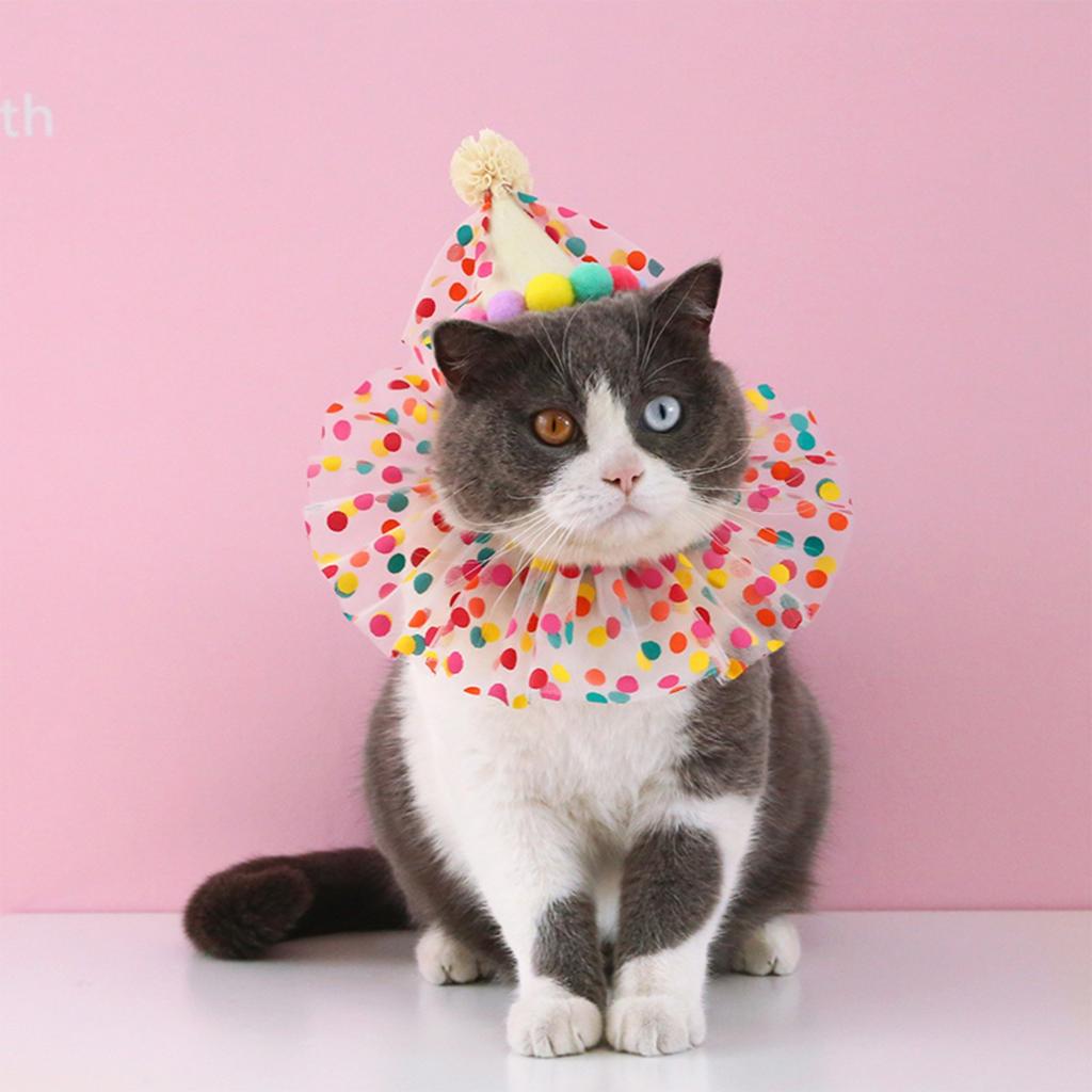 Pet Birthday Hat Scarf Set Puppy Princess Costume Cute Lace Costume Dog Colourful Polka Dot Bandana Hat Happy Birthday Decoration Pet Party