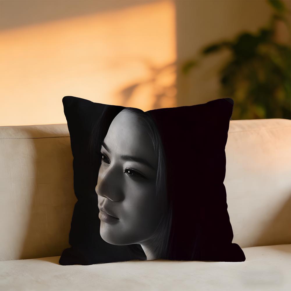 Tang Wei Cushion Cover Cozy Velvet Throw PillowSoft Warm Cushion For Sofa  Bed