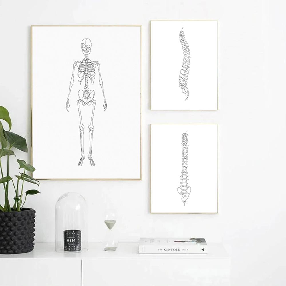 Анатомический скелет, одна линия постеры и принты, анатомический рисунок сердца, иллюстрации, холст, картины для подарка, декор для клиники