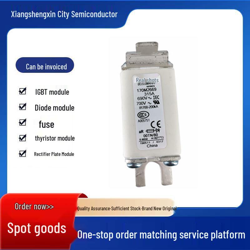 170M6618/170M6619 Fast-Acting Fuse - Full Specs for Electronic Components