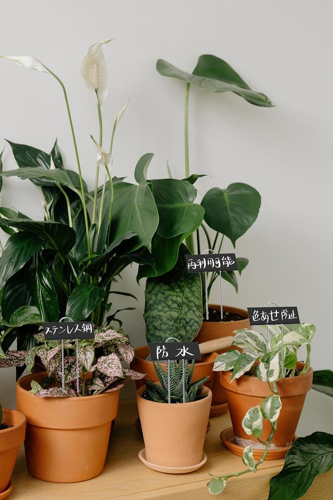 Niesporek Садоводство Садоводство 30 Металлические Растение Растение Цветок В Горшке Садоводство Мини Садоводство Овощи Травы Цветы Питомник Стильные Этикетки, Таблички,