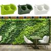 Vertical Garden Succulents Flower Pot Wall Hanging Planter Self Watering Plant Container