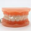 Resin Upper Jaw Teeth Shape Teeth Keyring Teeth Pendant Tooth Key Chain Denture Key Chain