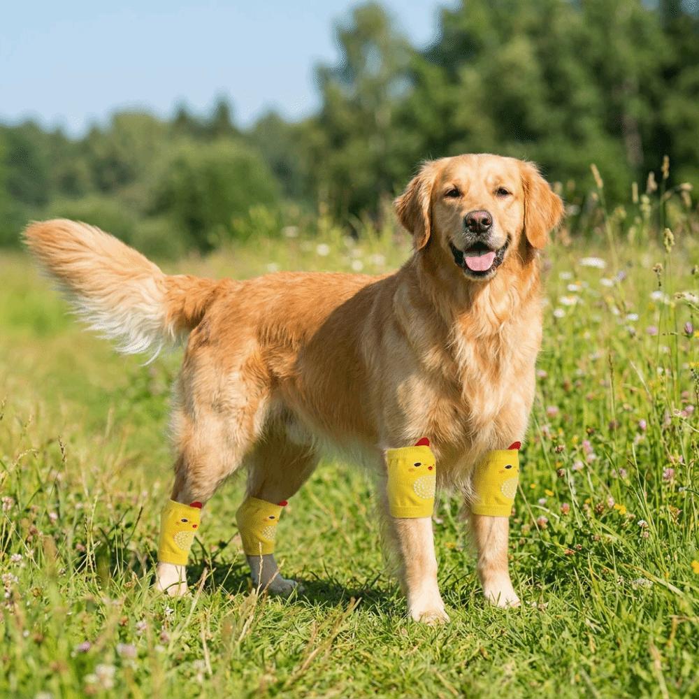 Anti-dirty Pet Knee Pads Soft Dog Leg Warmer Puppy Leg Protector Dog Elbow Cover Front Rear Legs