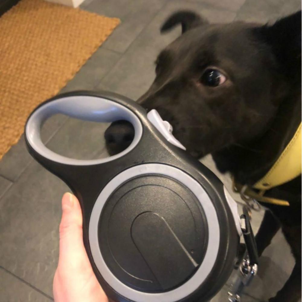 Длинный прочный поводок для больших собак Прочный нейлоновый выдвижной поводок для выгула большой собаки