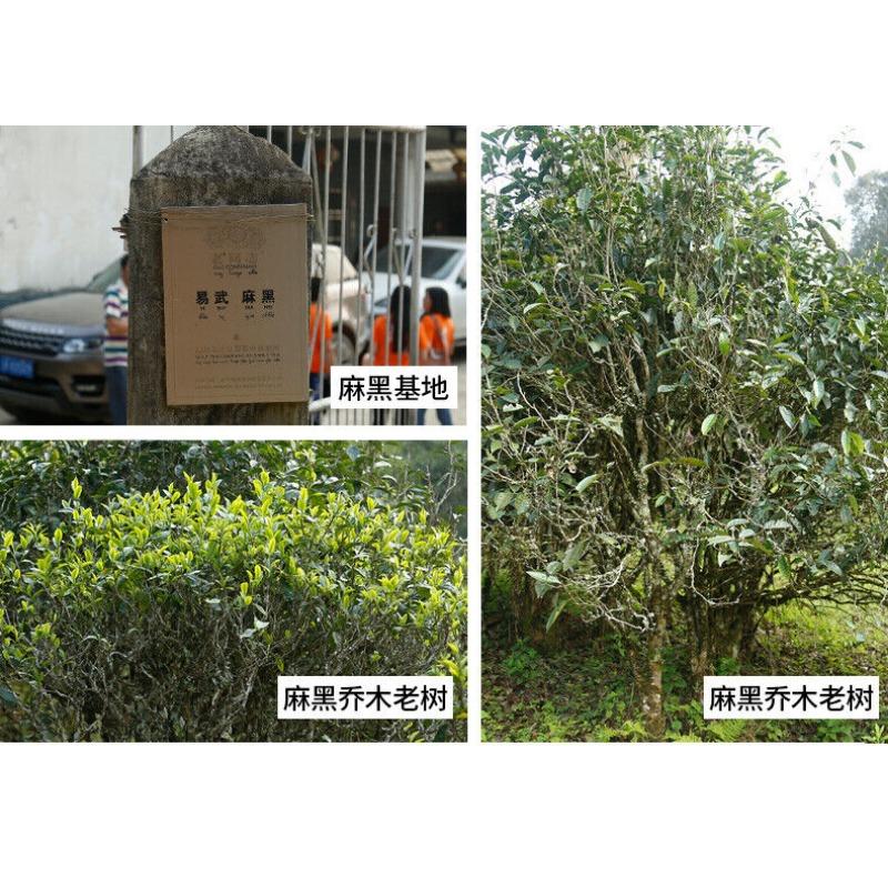 2021 Haiwan Yi Wu Zheng Shan Ma Hei Знаменитое старое дерево Шэнь Пуэр Чай Сырой Пуэр 500г