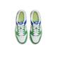 Nike Dunk Low Stadium Green Royal 2023 Shoe FN6973-100