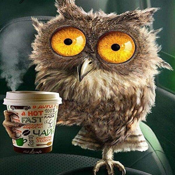 DIY Алмазная картина Цветок 5D Алмазная вышивка Крестом Лавандовая мозаика Фотографии Стена Art Craft Kit